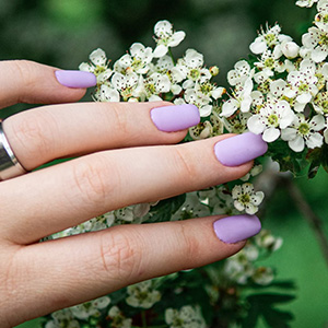 Cosy Nail & Spa gallery